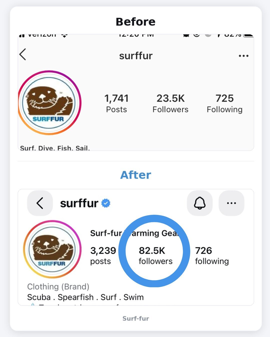 Instagram Case Studies 2026 (3)